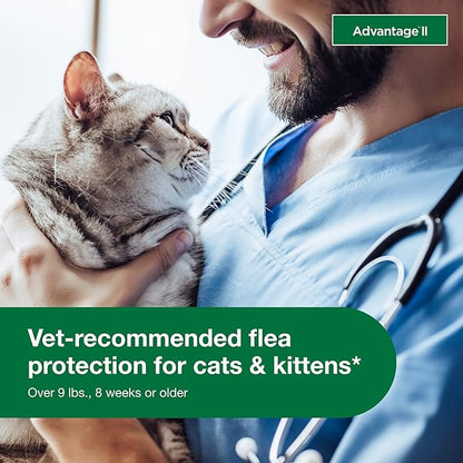 2 pack flea protection advantage large cat
