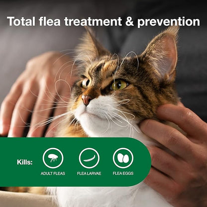 2 pack flea protection advantage large cat