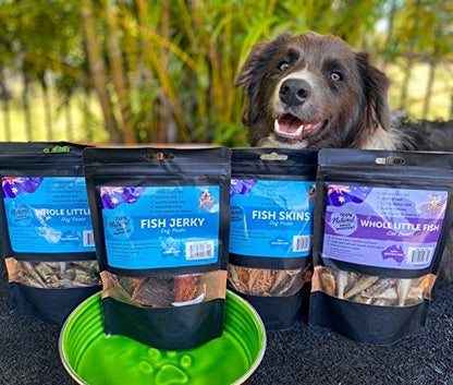 Loving Pets - Le Bol Dog Food Water Bowl Enamel Ceramic Bowl No Tip Stainless Steel Pet Bowl No Skid Spill Proof (Medium, Chartreuse)