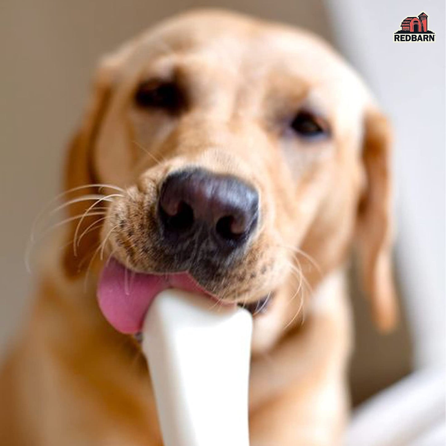 Redbarn White Bone for Dogs, Large 1-Count
