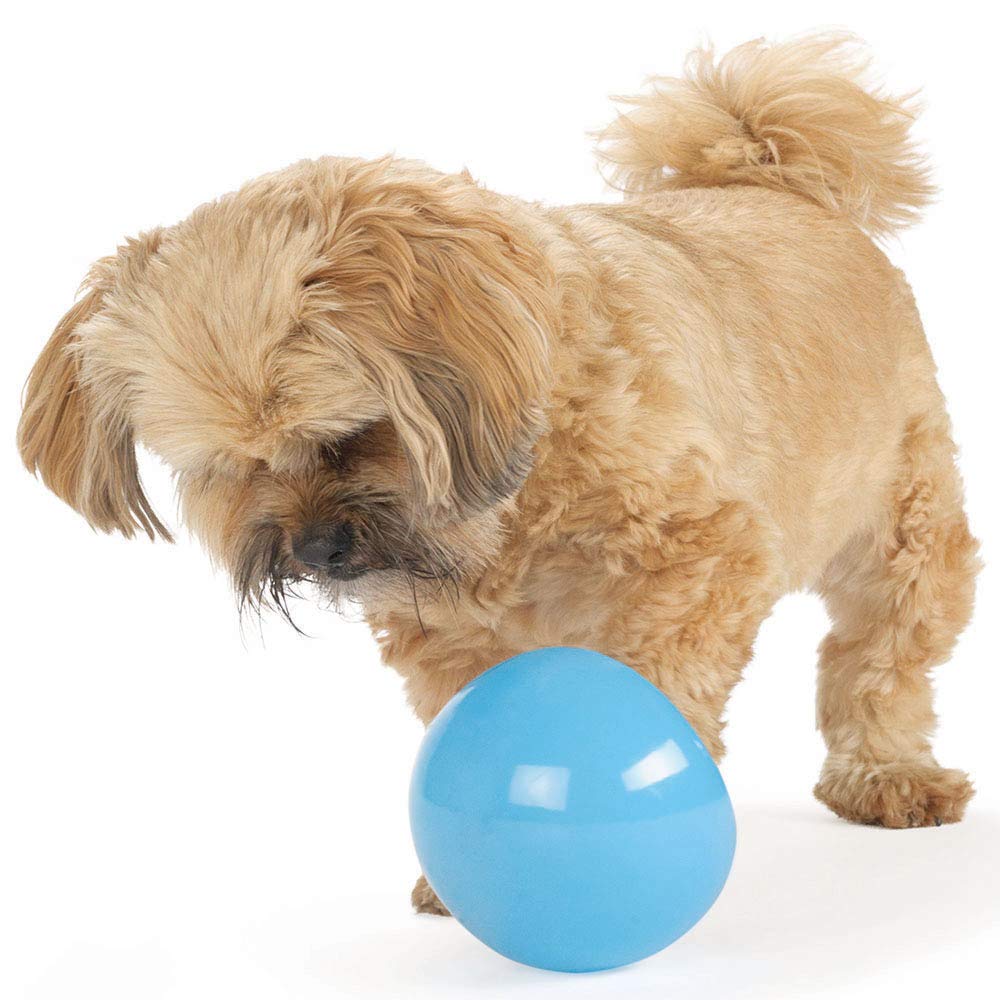 Outward Hound by Planet Dog Snoop Interactive Treat Dispensing Dog Toy, Large, Blue