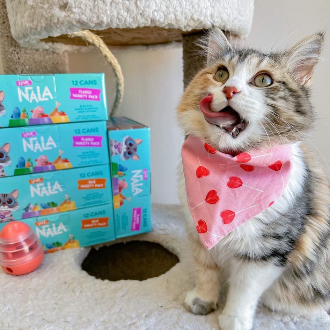 LOVE, NALA