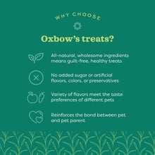 Oxbow Simple Rewards Baked Treats with Apples and Baas for Rabbits, Guinea Pigs, Chinchillas, and Small Pets 3 Ounce (Pack of 1)