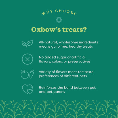 Oxbow Simple Rewards Baked Treats with Apples and Baas for Rabbits, Guinea Pigs, Chinchillas, and Small Pets 3 Ounce (Pack of 1)