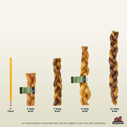 Redbarn 7" Braided Bully Sticks for Dogs. Natural, Highly Palatable, Long-Lasting Dental Chews Sourced from Free-Range, Grass-Fed Cattle (20 Sticks)