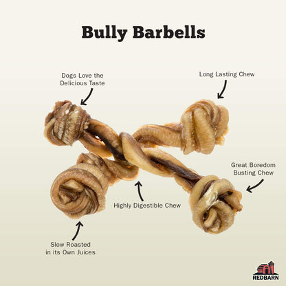 Redbarn Bully Barbells for Dogs