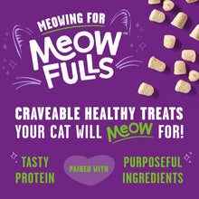 Bundle of Stella & Chewy's Meowfulls Freeze Dried Cat Treats Chicken & Chicken Liver Recipe, Turkey & Duck Recipe, Whitefish & Salmon Recipe, 1.5 oz Bag