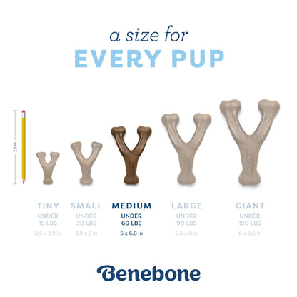 Benebone Puppy Fishbone Dog Chew Toys, Softer for Modest Chewers, Made in USA