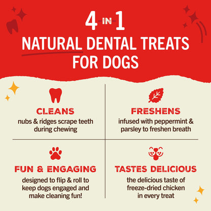 Stella & Chewy's Dental Delights with Freeze-Dried Chicken - Medium Dental Treats for Dogs, 5.5 Ounce Bag