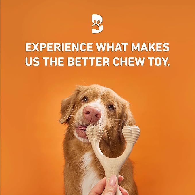 BetterBone Hard Beef Dog Toy, Natural, Small