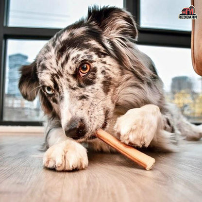 Redbarn Odor Free 7" Bully Sticks for Dogs