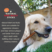 Canine naturals beef collagen bully stick small 5-6in dog treat