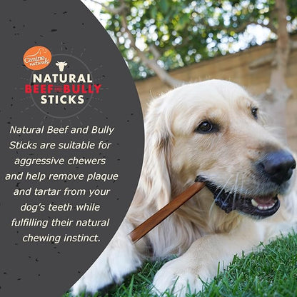 Canine naturals beef collagen bully stick small 5-6in dog treat