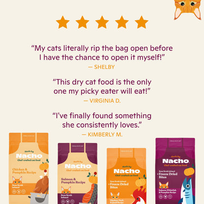 Made by Nacho Bone Broth Infused Dry Cat Kibble - Cage-Free Chicken & Pumpkin Recipe - Premium Grain-Friendly Cat Food 4lb Bag, Limited Ingredients