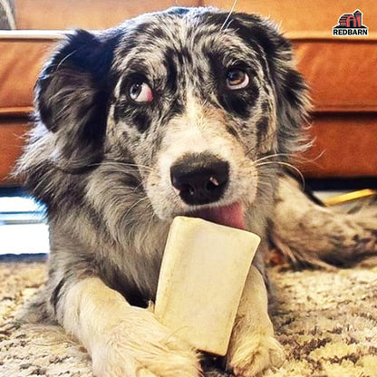 Redbarn Filled Dog Bones, Natural Long-Lasting Dental Treats; Suitable for Aggressive Chewers, Small (3") - 10 Bones (Cheese N' Bacon)