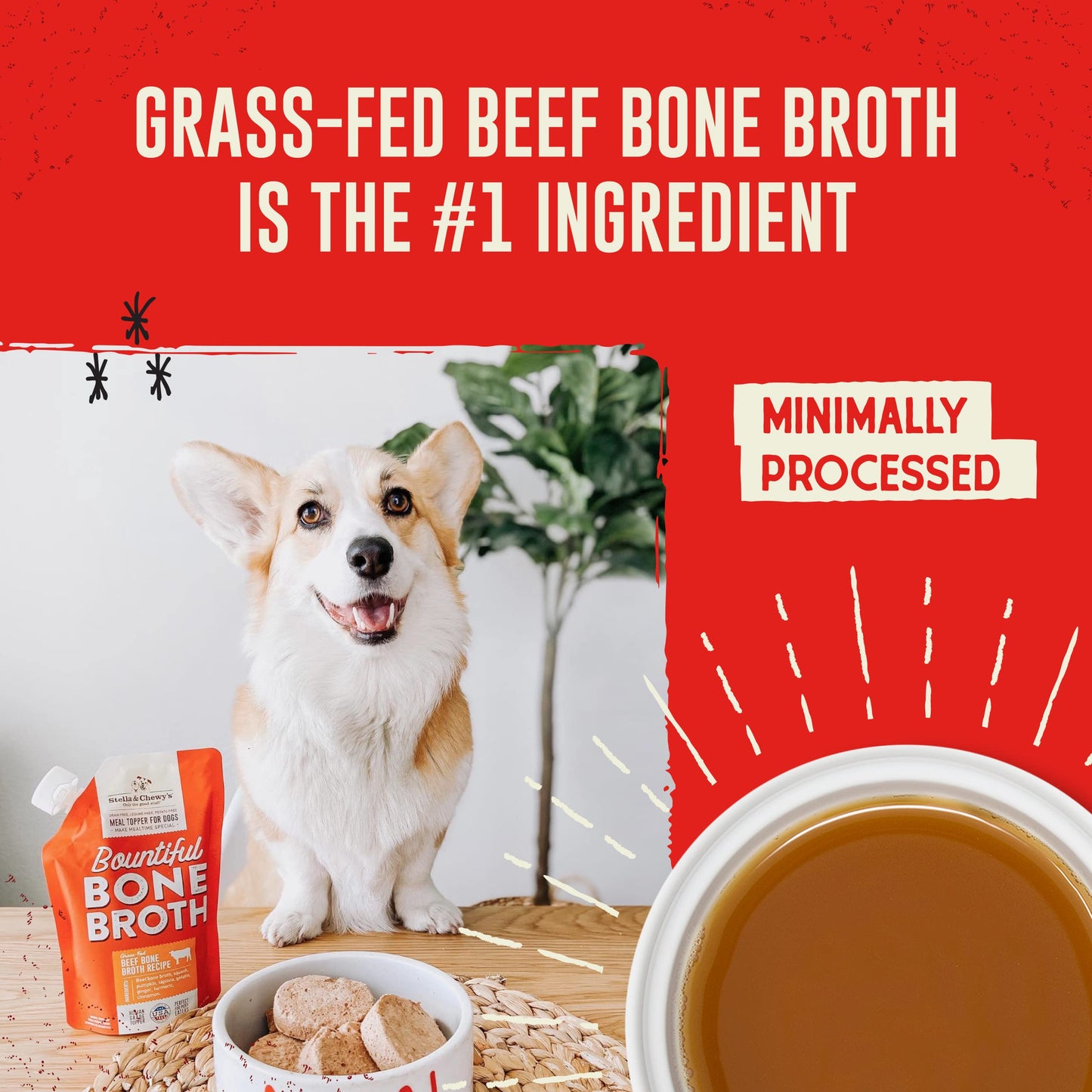 Stella & Chewy's Human-Grade Grass-Fed Beef Bone Broth for Dogs - Joint & Gut Health Liquid Food Topper with Collagen & Turmeric, 16 Fl Oz Resealable Pouch