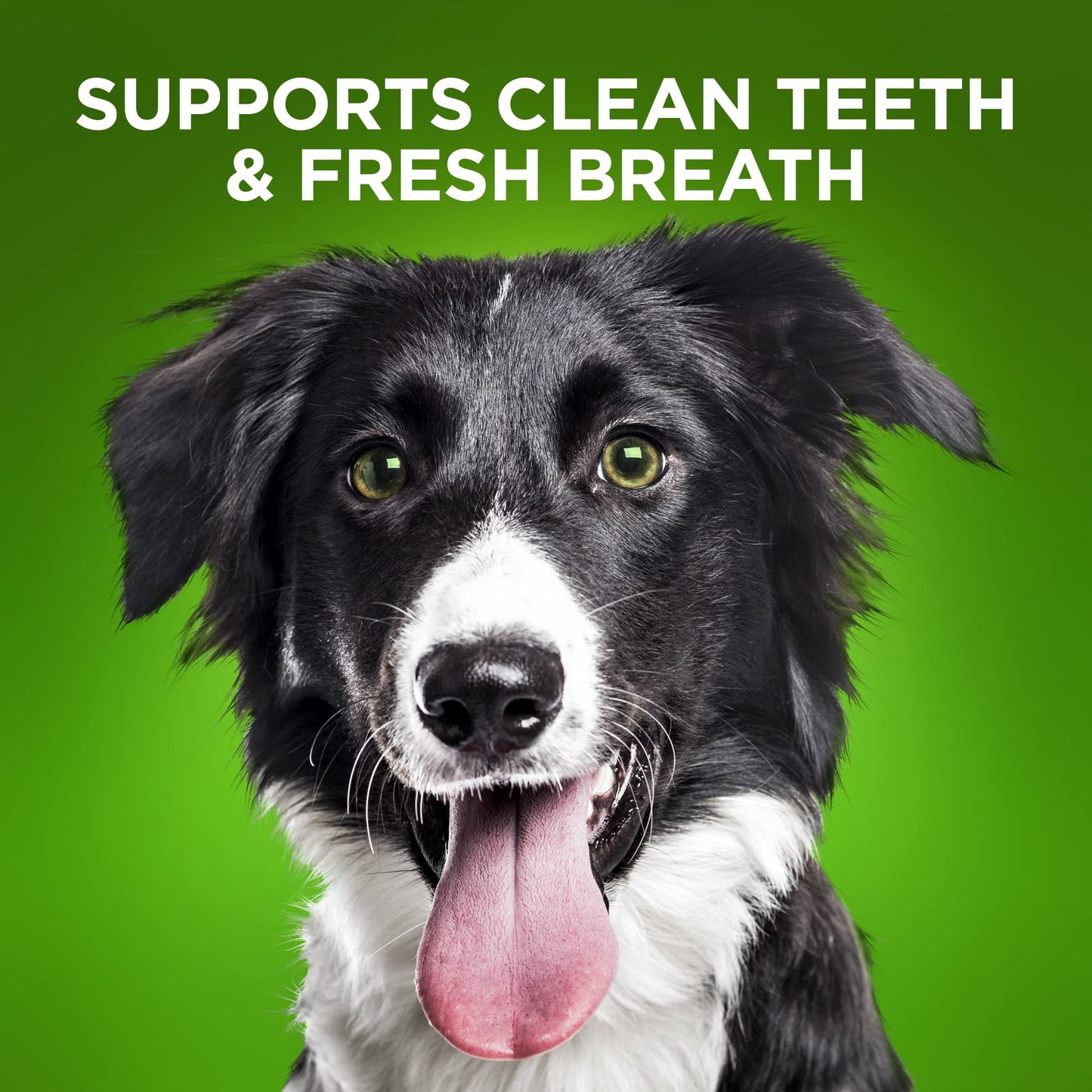Fruitables 10 Count Bioactive Fresh Mouth Dental Chews, Medium/10.8 Oz, Model:2959