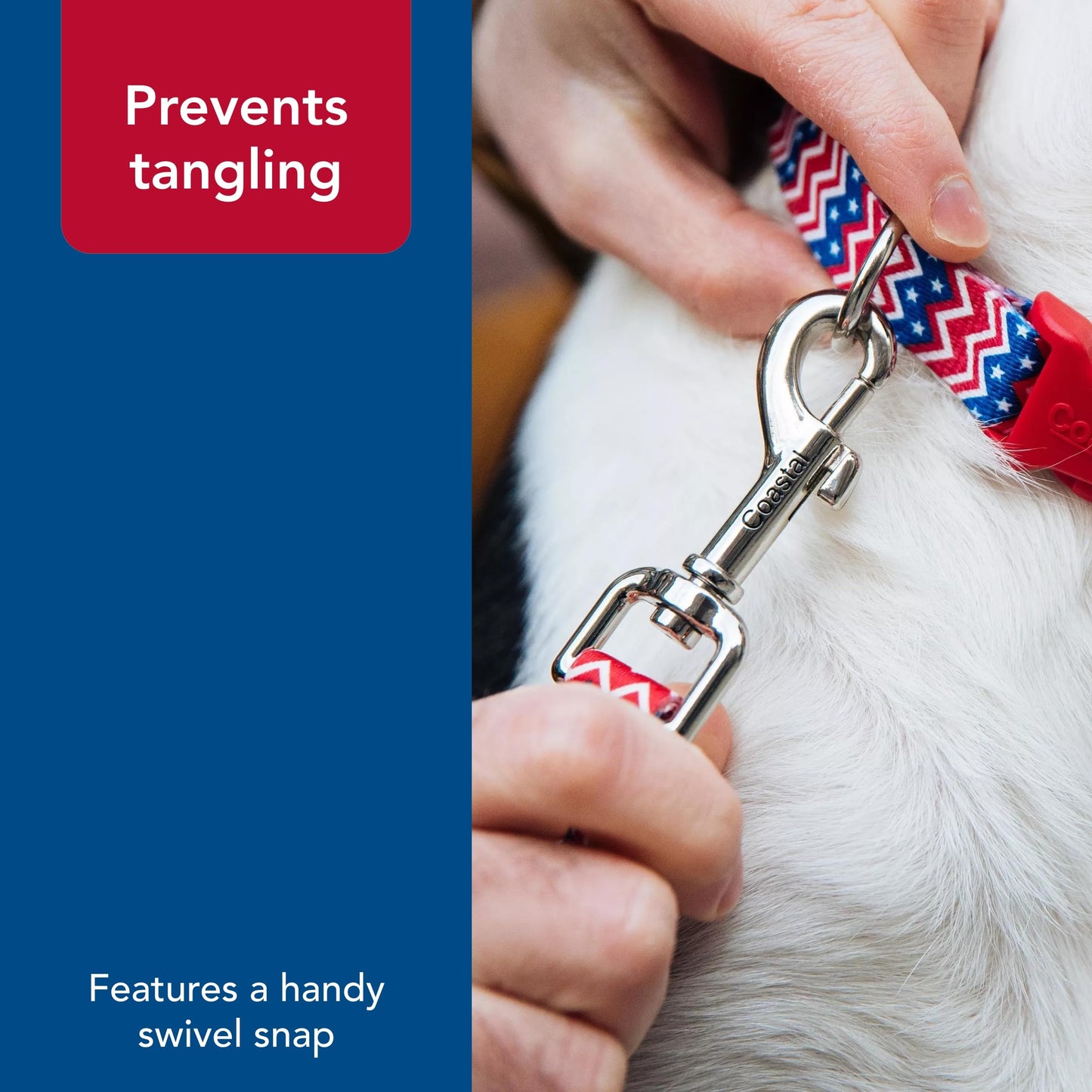 Pet Attire Styles Red Bones Print 6 Foot Dog Leash with the Width of 5/8 in.