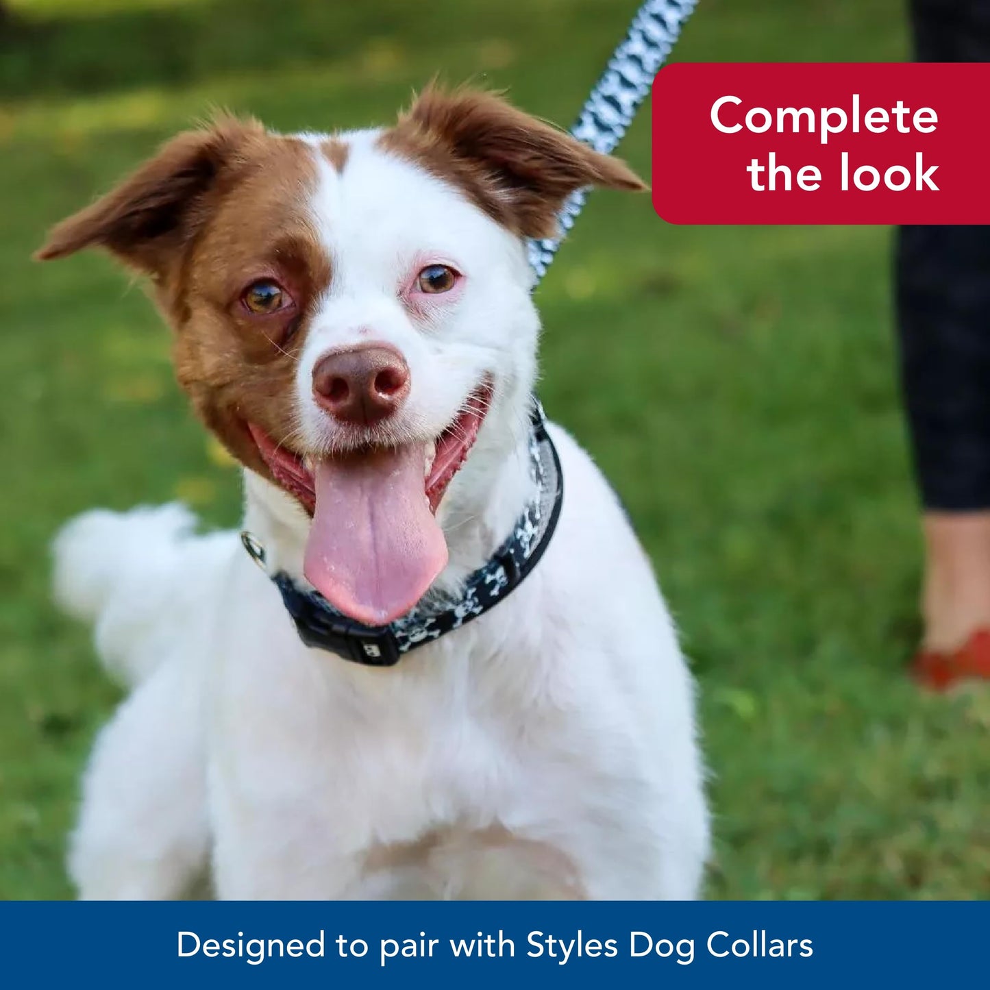 Pet Attire Styles Red Bones Print 6 Foot Dog Leash with the Width of 5/8 in.