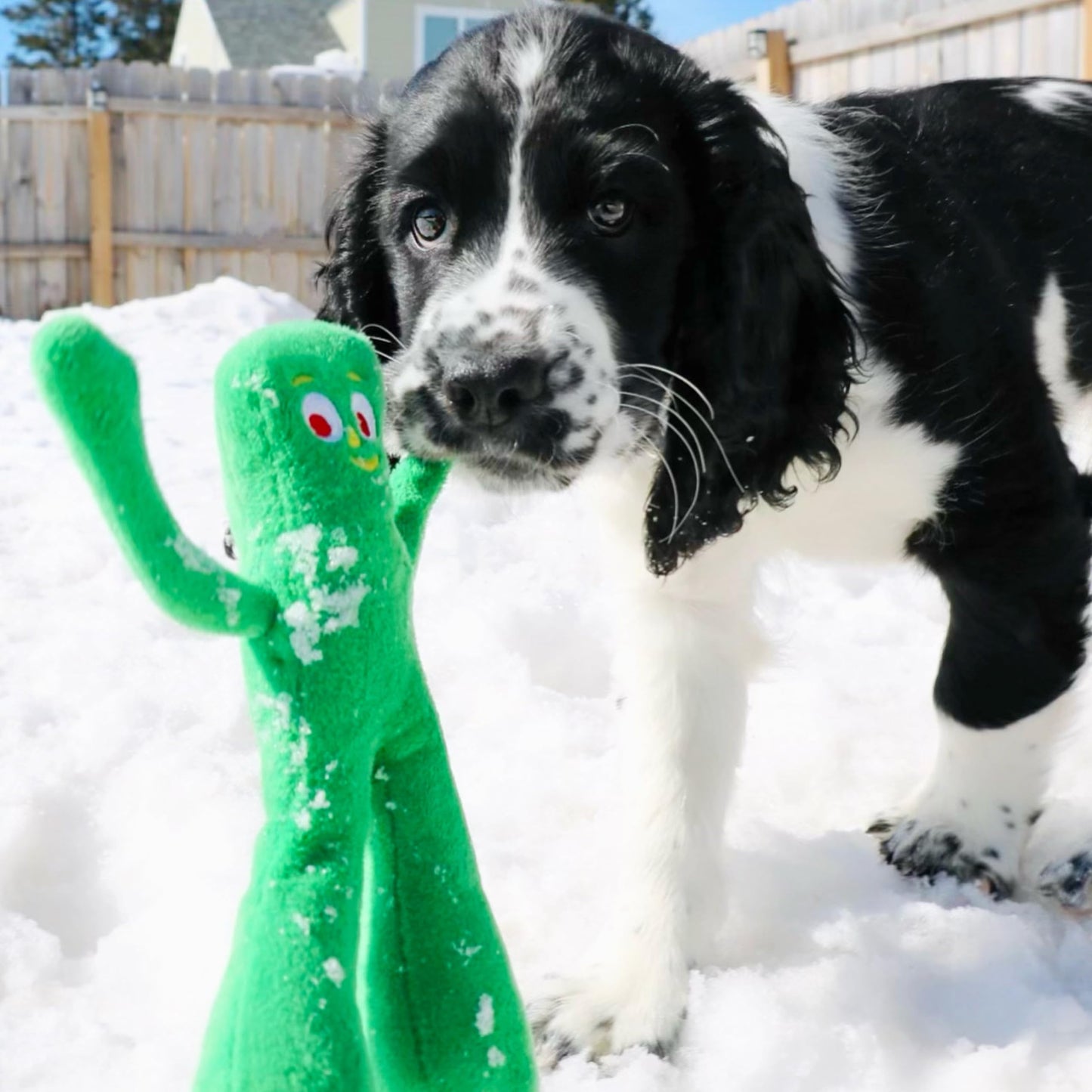 Multipet Gumby Dog Plush Toy - Squeaky Toy for All Dogs - Extra Soft Plush w/ Flexible Legs & Arms - Stuffed Animal for Cuddling & Playing - Cute Dog Pet Toy (9", Green)