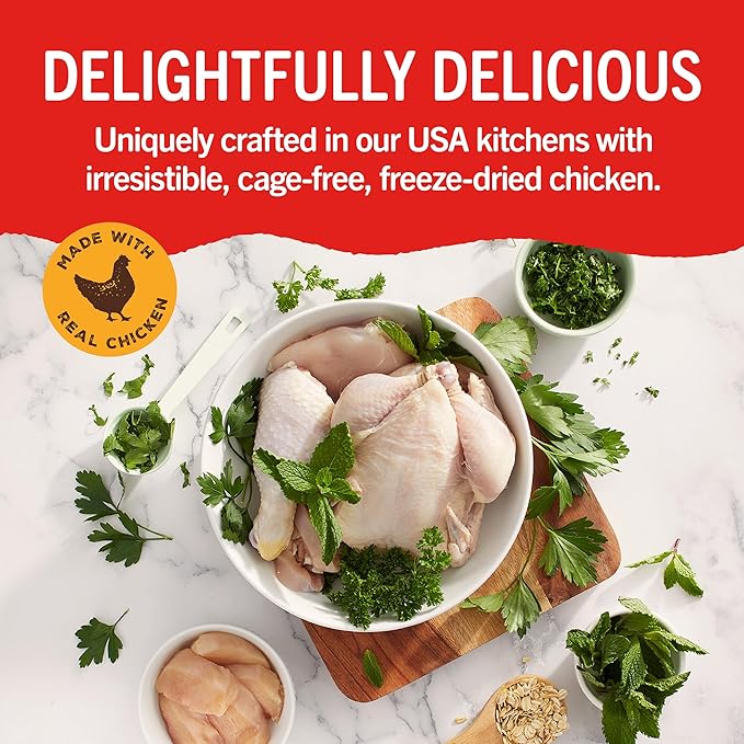 Dental delights fun and functional cleaning treats Stella and Chewy’s 4 in 1 large dental treats for dogs