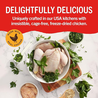 Dental delights fun and functional cleaning treats Stella and Chewy’s 4 in 1 large dental treats for dogs