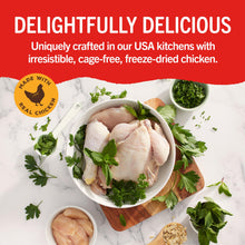 Stella & Chewy's Dental Delights with Freeze-Dried Chicken - Medium Dental Treats for Dogs, 5.5 Ounce Bag