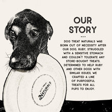 Dental Chew Sticks | Helps Clean Teeth and Easy to Digest Dog Treats | Dog Breath Freshener | Made with Chickpea & Mint| Made in USA (20 Sticks)