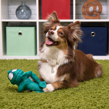 goDog Double Chew Guard Mesh Amphibianz Chameleon Squeaky Dog Toy - Teal, Large