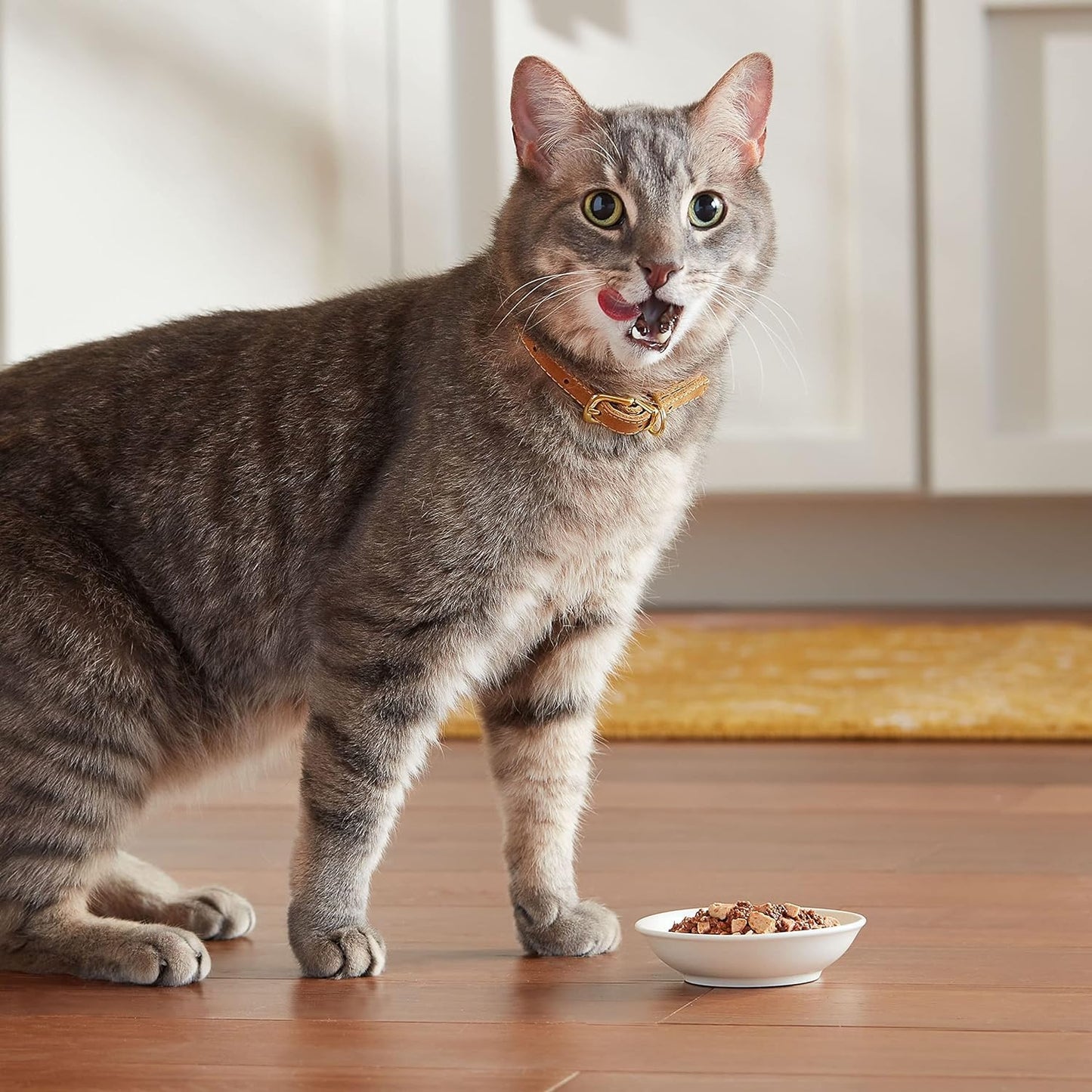 Meow Mix Poultry Selections Wet Cat Food, Variety Pack, 2.75 Ounce Cup
