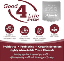 Nutrisource beef & rice 26lb wholesome grains dry dog kibble