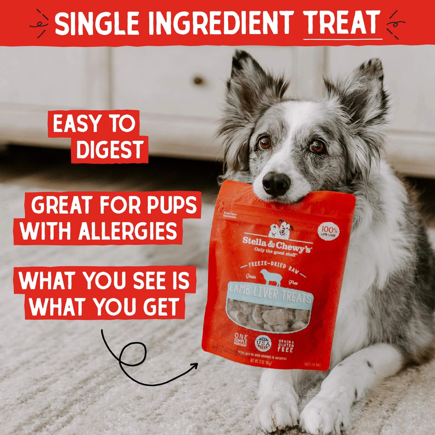 Stella & Chewy's Freeze-Dried Raw Single Ingredient Beef Liver Treats, 3 oz. Bag