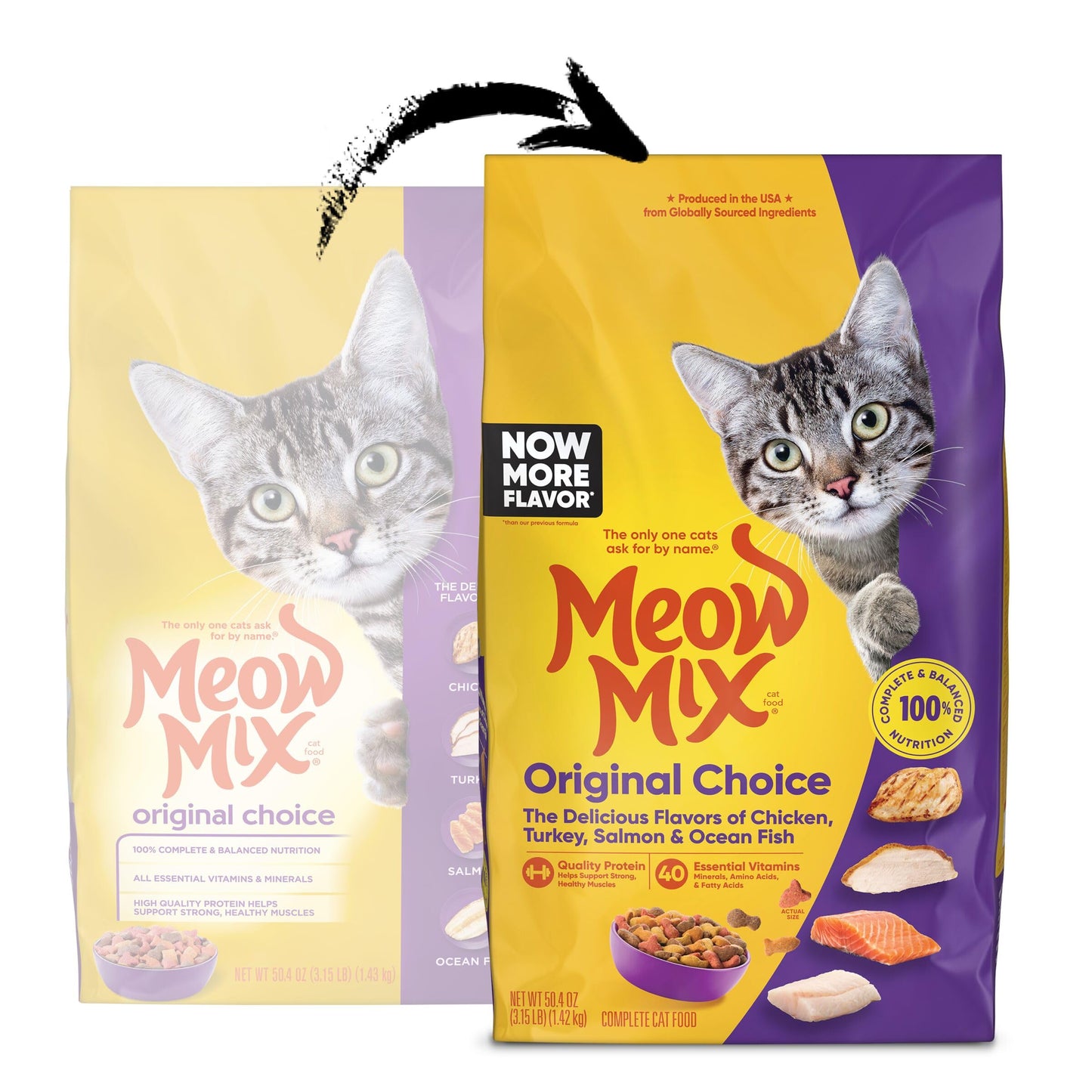 Meow Mix Original Choice Dry Cat Food, 3.15 Pounds