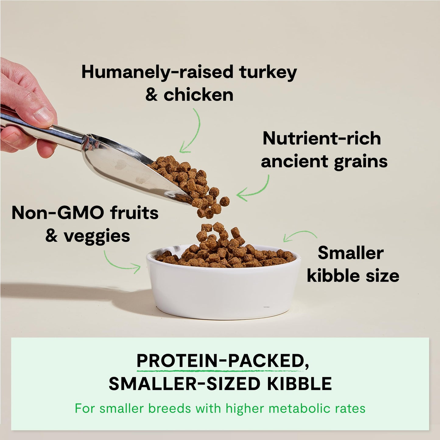 Open Farm, Ancient Grains Dry Dog Food For Small Breeds, Protein-Rich & Nutrient Dense, 90% Animal Protein With Non-GMO Fruits, Veggies and Superfoods, Chicken & Turkey Recipe For Small Dogs, 11lb Bag