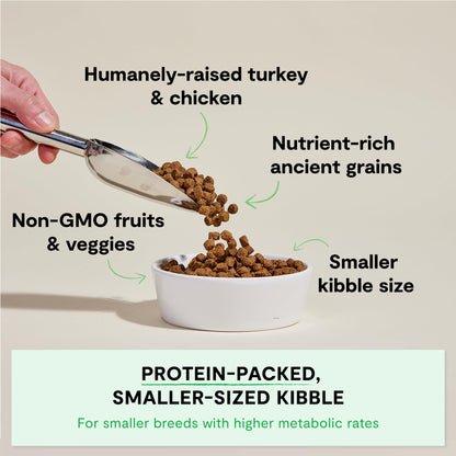 Open Farm, Ancient Grains Dry Dog Food For Small Breeds, Protein-Rich & Nutrient Dense, 90% Animal Protein With Non-GMO Fruits, Veggies and Superfoods, Chicken & Turkey Recipe For Small Dogs, 11lb Bag