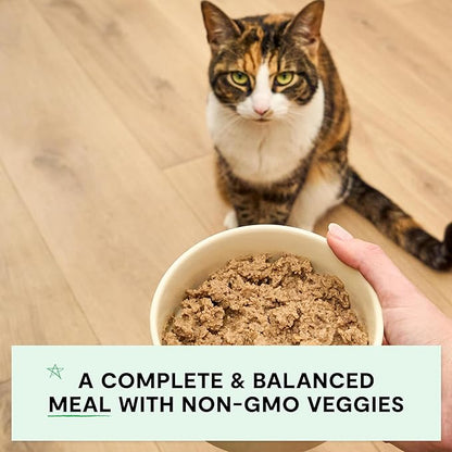 Open farm grain free chicken & grass fed beef recipe pate canned cat food 2.8oz