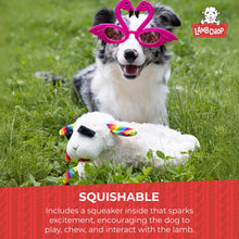 Multipet Lamb Chop Plush Dog Toy with Birthday Hat - Squeaky Toy for All Dogs (10.5”, Pink Hat, 5 Squeakers)