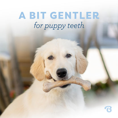 Benebone Puppy Fishbone Dog Chew Toys, Softer for Modest Chewers, Made in USA