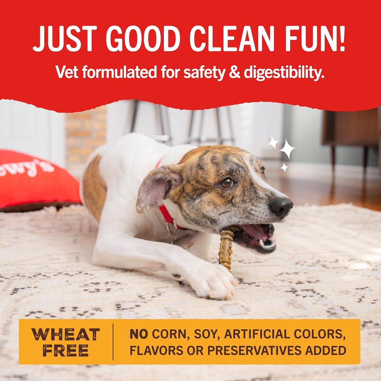 Dental delights fun and functional cleaning treats Stella and Chewy’s 4 in 1 large dental treats for dogs