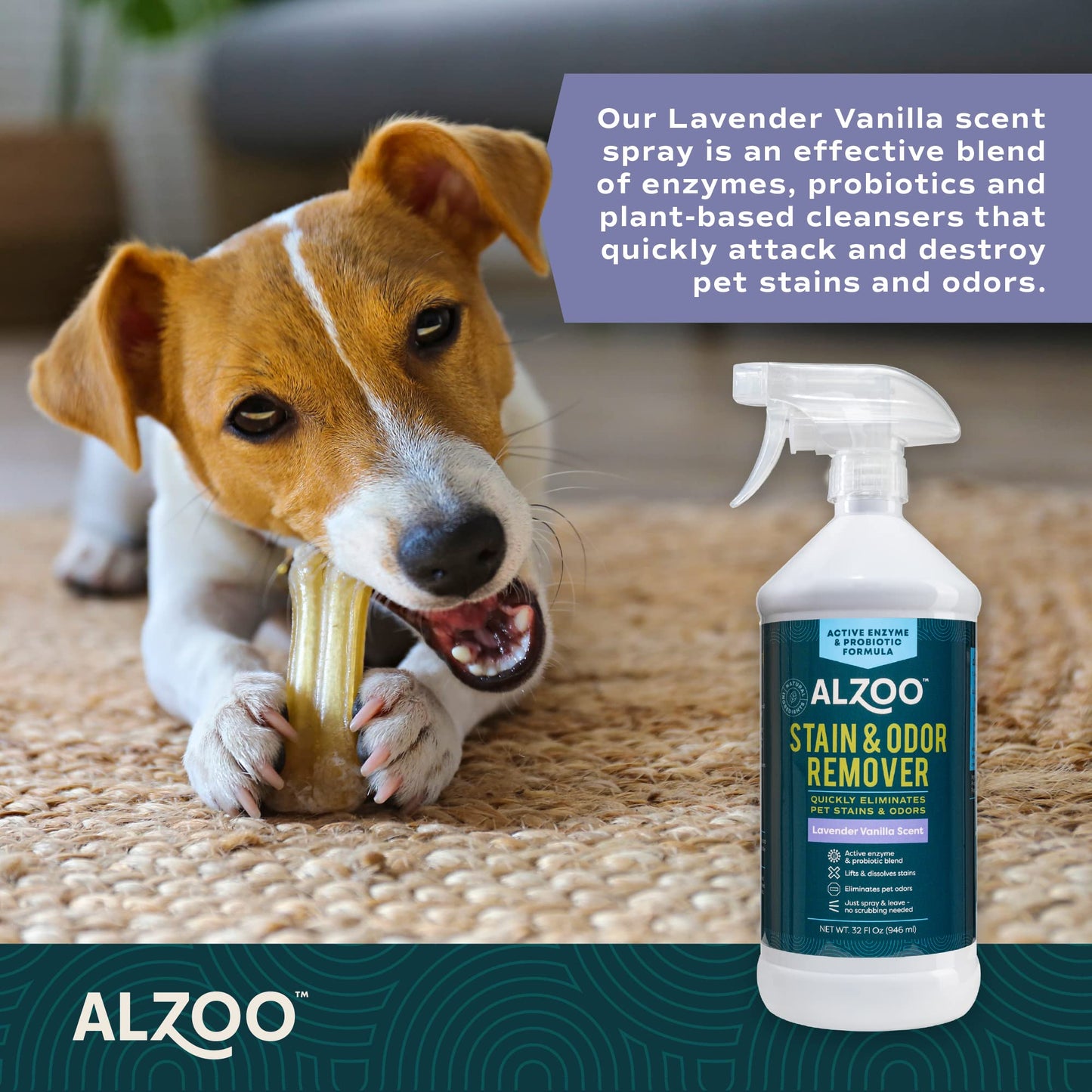 Stain & Odor Remover, Quickly Lifts & Dissolves Pet Stains & Helps Eliminate Odors, 100% Plant-Based Active Ingredients, Lavender Vanilla Scent, 32 Fl. Oz Spray Bottle