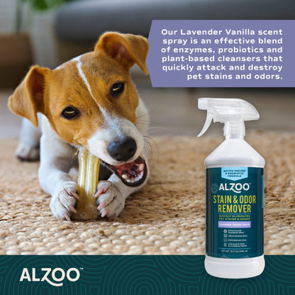 Stain & Odor Remover, Quickly Lifts & Dissolves Pet Stains & Helps Eliminate Odors, 100% Plant-Based Active Ingredients, Lavender Vanilla Scent, 32 Fl. Oz Spray Bottle