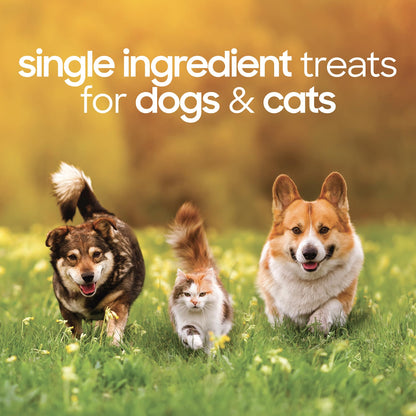 smallbatch Pets Premium Freeze-Dried Turkey Heart Treats for Dogs and Cats, 3.5 oz, Made and Sourced in The USA, Single Ingredient, Humanely Raise Meat, No Preservatives or Anything Artificial Ever