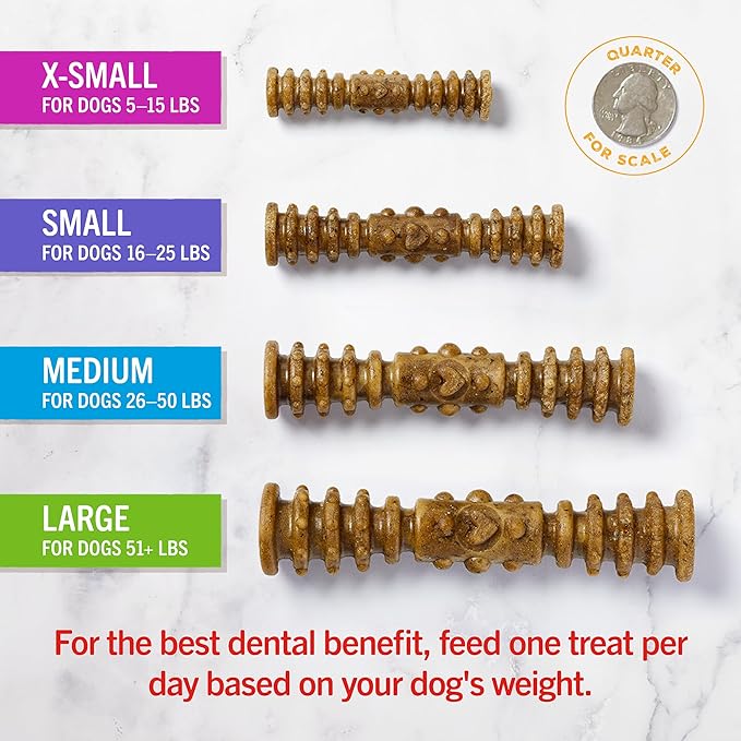 Dental delights fun and functional cleaning treats Stella and Chewy’s 4 in 1 large dental treats for dogs