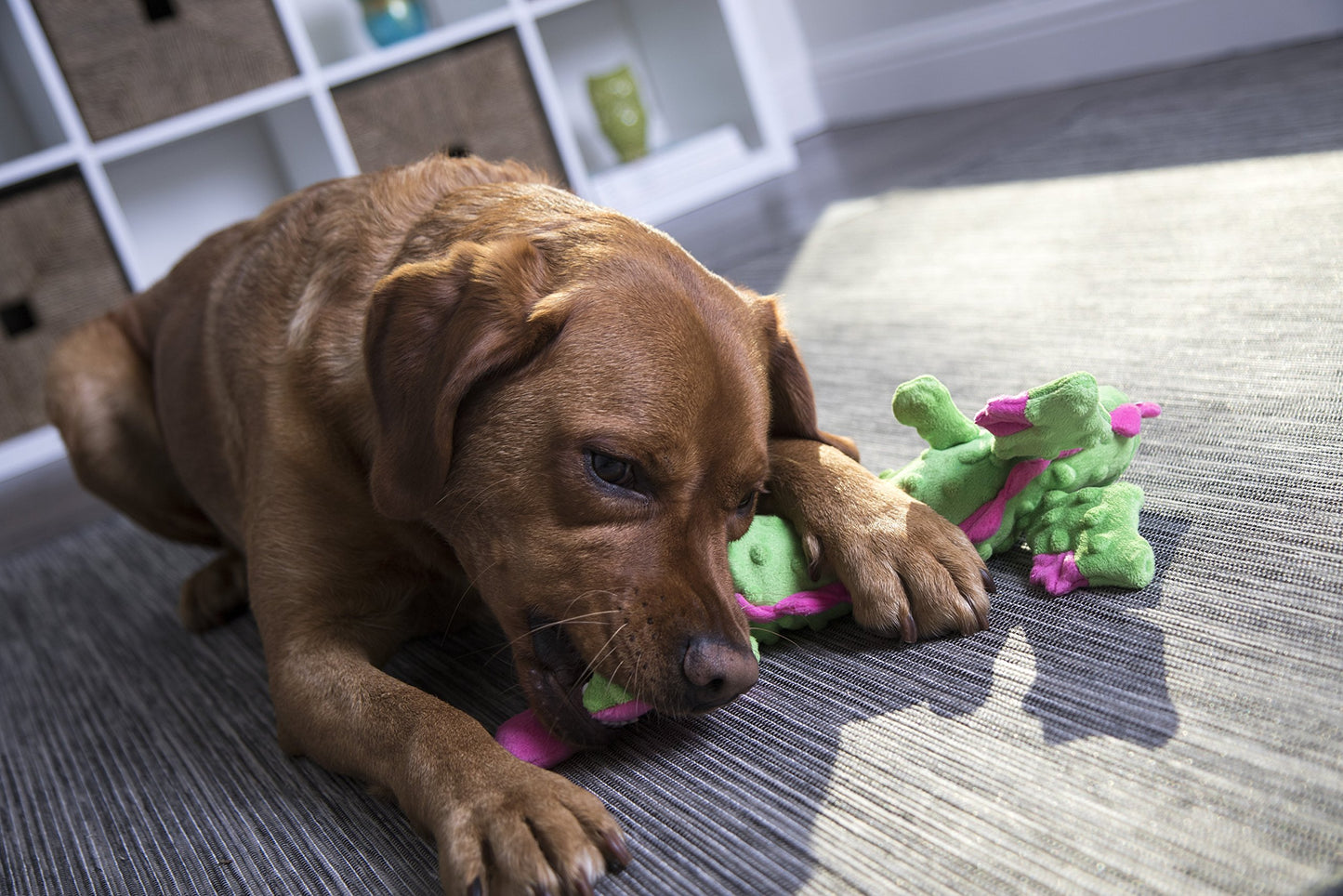 goDog Bubble Plush Skinny Dragons Squeaky Plush Dog Toy, Chew Guard Technology - Green, Large
