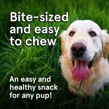 Real Meat Dog Treats - 4oz Bag of Bite-Sized Air-Dried Venison Jerky for Dogs - Grain-Free Jerky Dog Treats Made up of 95% Human-Grade, Free-Range, Grass Fed Venison - Natural High Protein Dog Treats