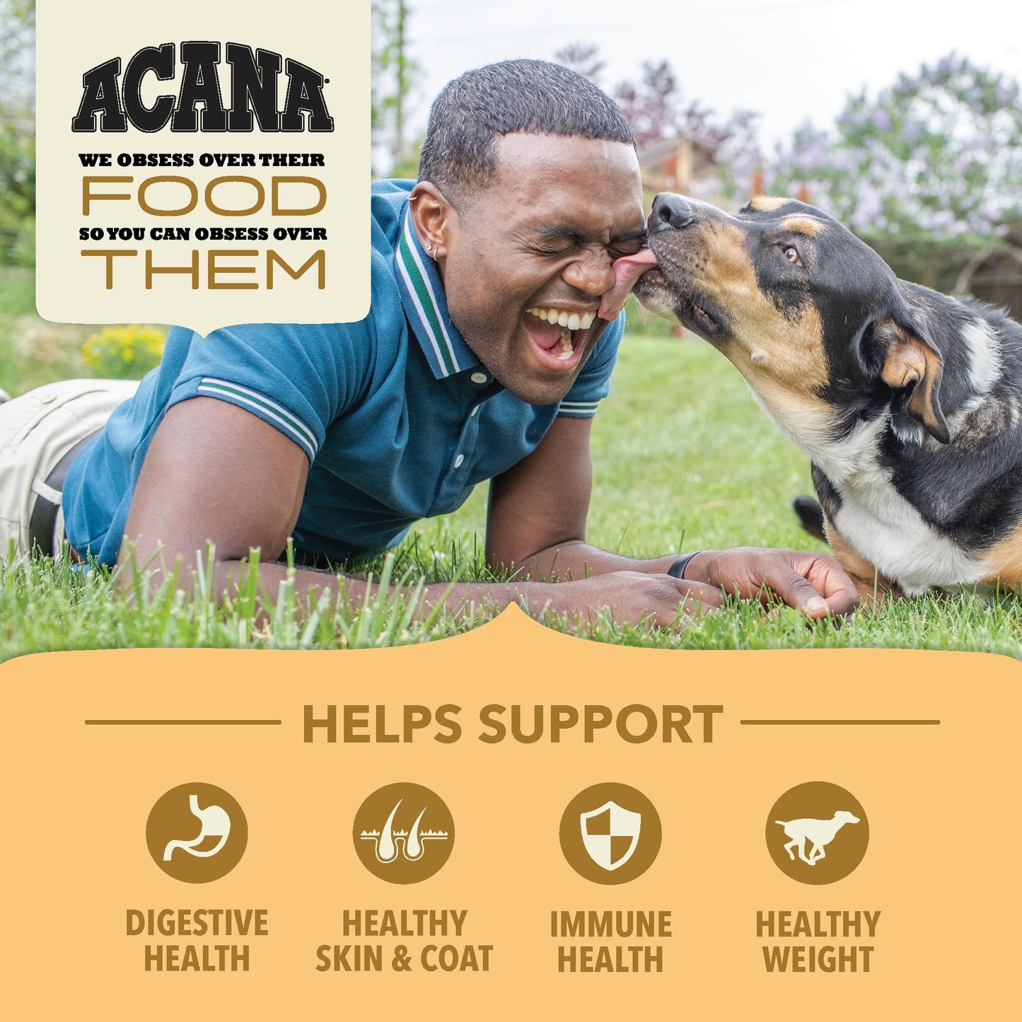 ACANA Wholesome Grains Dry Dog Food | Free - Run Poultry Real Chicken & Turkey Eggs Dog Food Recipe | 4Lb