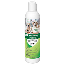 Advantage Dog Flea & Tick Shampoo For Puppies & Adult Dogs | Kills Fleas & Ticks | 8 Oz.