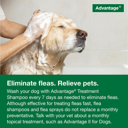 Advantage Dog Flea & Tick Shampoo For Puppies & Adult Dogs | Kills Fleas & Ticks | 8 Oz.