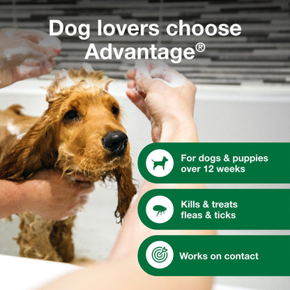 Advantage Dog Flea & Tick Shampoo For Puppies & Adult Dogs | Kills Fleas & Ticks | 8 Oz.