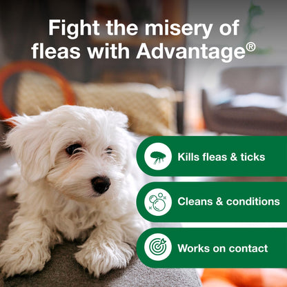 Advantage Dog Flea & Tick Shampoo For Puppies & Adult Dogs | Kills Fleas & Ticks | 8 Oz.